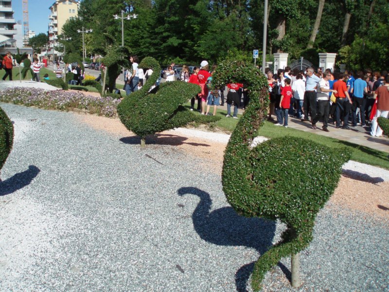 rp5220078.jpg